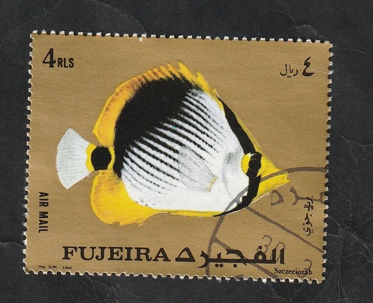 Fujeira - Pez