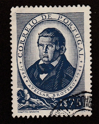 Avellas  Brotero