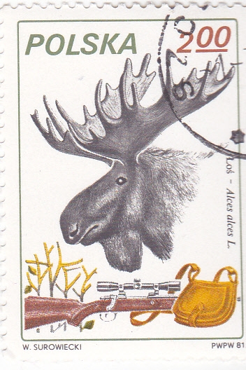 CACERÍA DEL ALCE