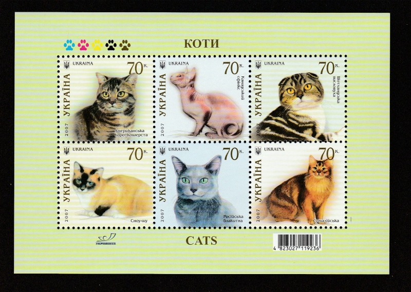 Gato somaí