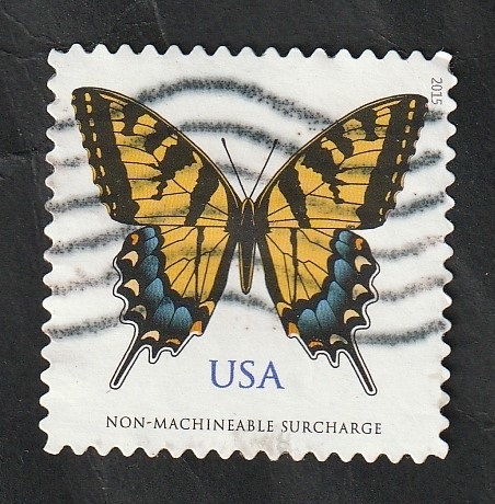4813 - Mariposa