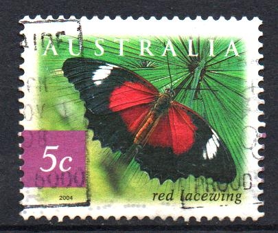 MARIPOSA  DE  ENCAJE  ROJO