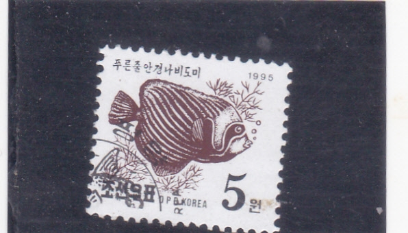 Emperor Angelfish