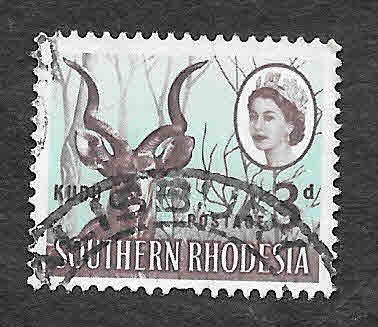 225 - Kudu