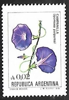 Campailla