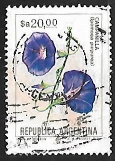 Campanilla