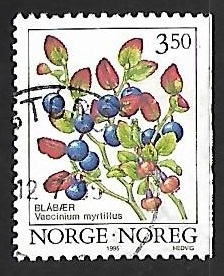Vaccinium myrtillus