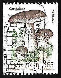 Setas - Boletus edulis