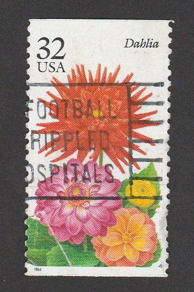 Dalia