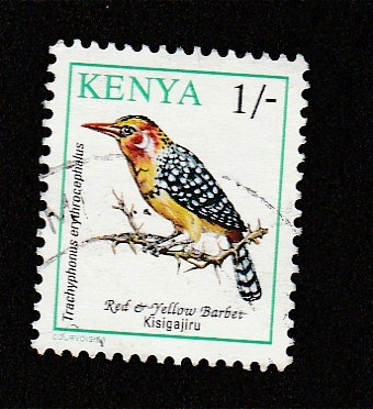 Ave Trachyphonus erythrocephalus