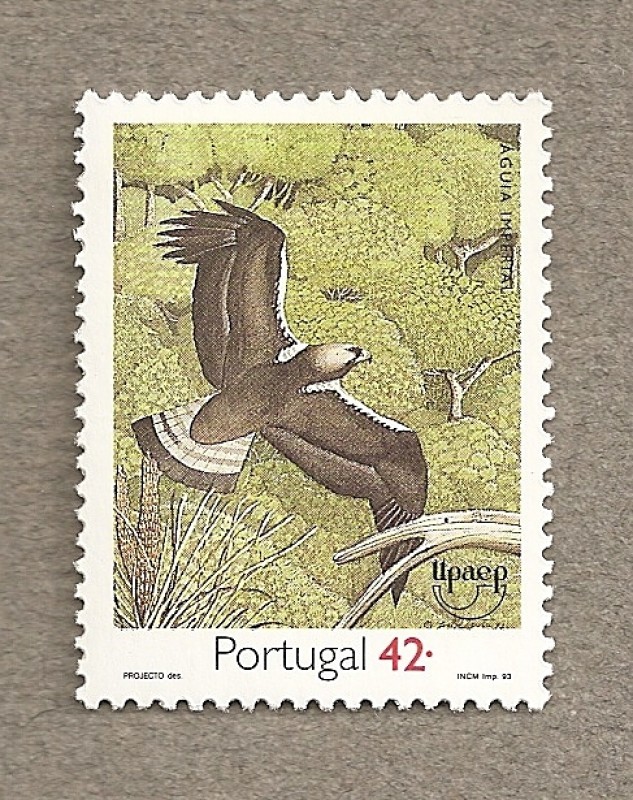 Aves