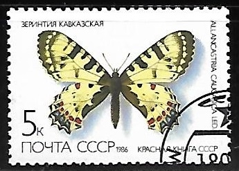 Mariposas