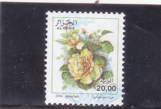 FLORES-