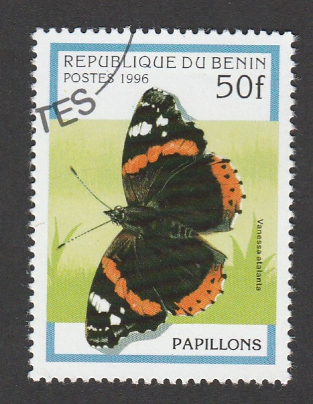 Vanessa atalanta
