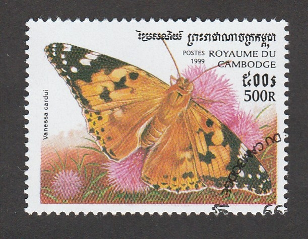 Vanessa cardui