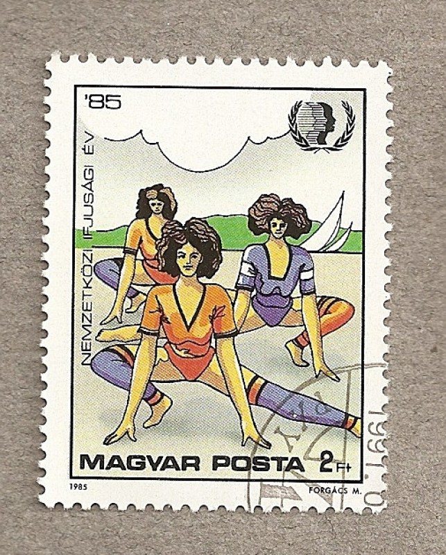 Año Internacional de la Juventud