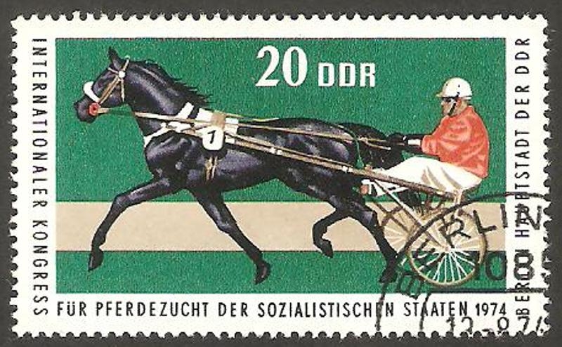 1652 - Caballo trotón