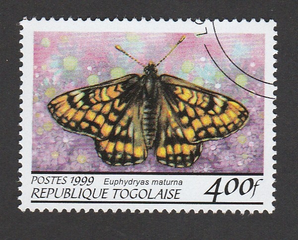 Ephydryas maturna
