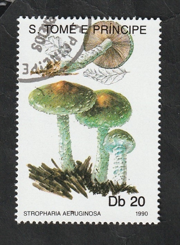 988 - Champiñón, Stropharia aeruginosa