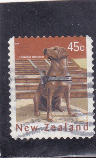 PERRO LABRADOR