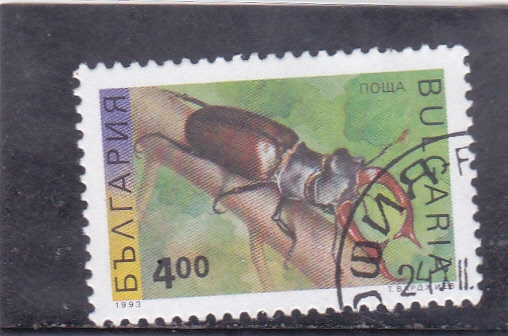 INSECTO
