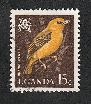 66 - Ave orange weaver