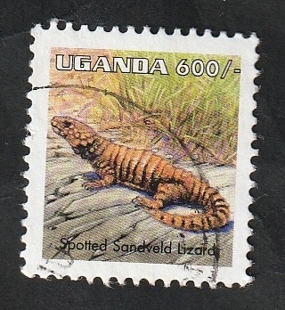 1624 - Reptil