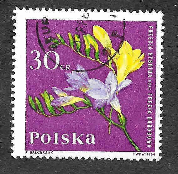 1280 - Fresia