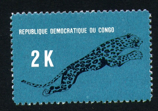 Leopardo