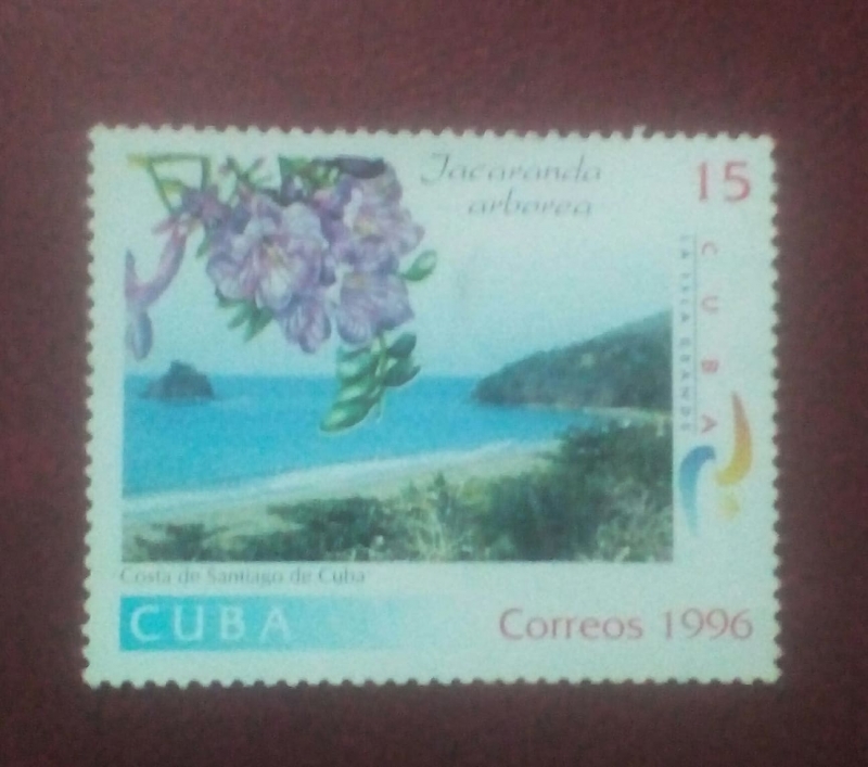Jacaranda arbarea