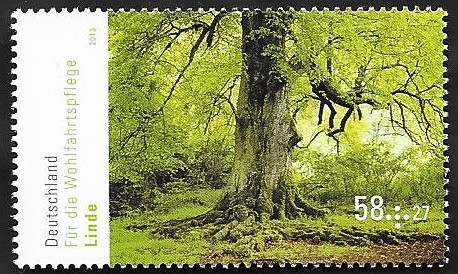 2808 - Árbol