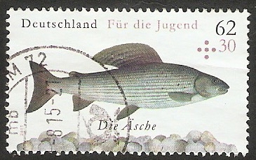 2976 - Pez