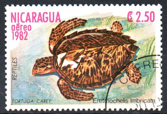  TORTUGA  CAREY