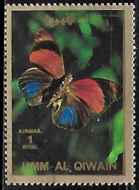 Mariposas - large format