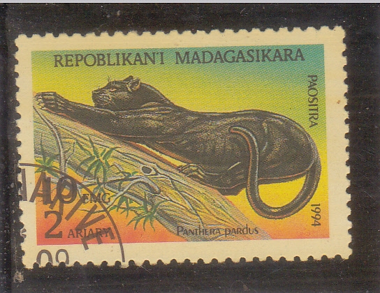 pantera negra