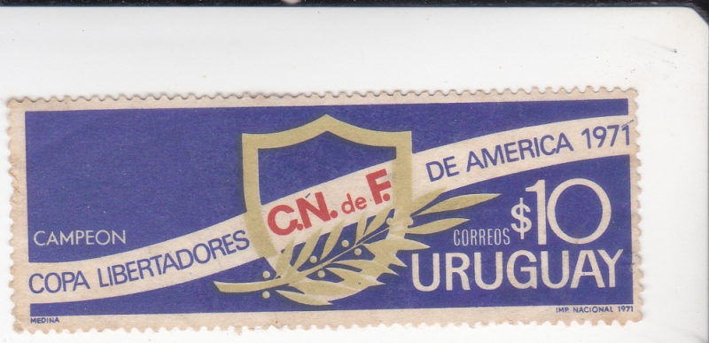Campeón Copa Libertadores