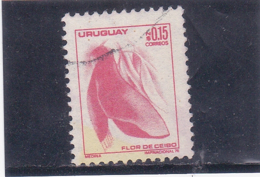 flor de ceibo 