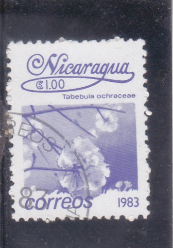 flores- tabebula ochreceae