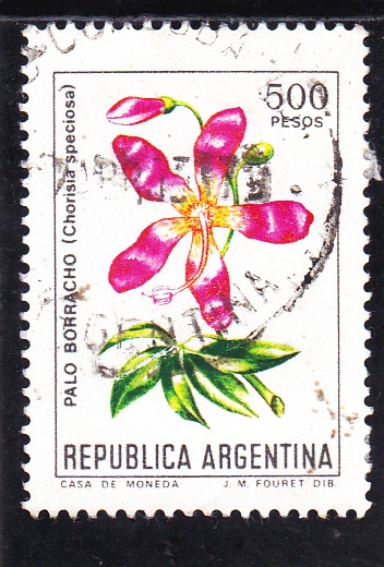 flores- Palo borracho 