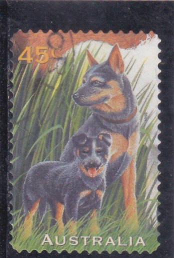perros