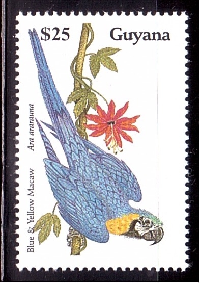 serie- Aves