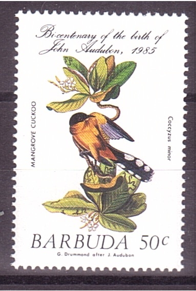 serie- Aves