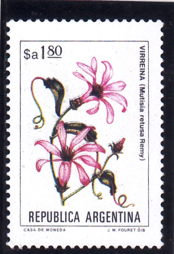 flores- VIRREINA 