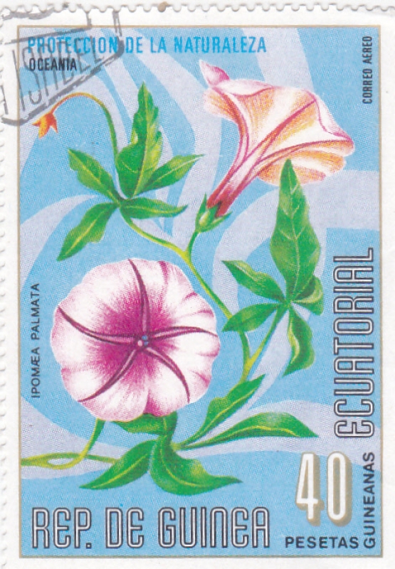 protección de la naturaleza