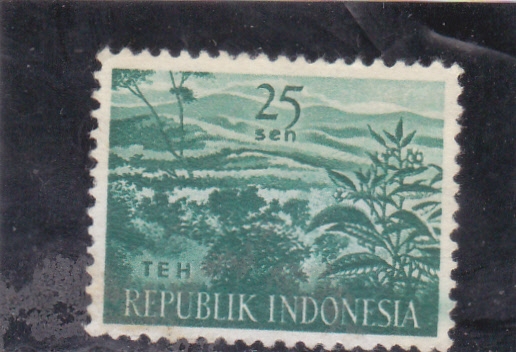 paisaje 