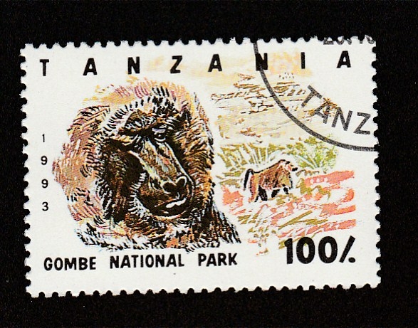 Parque Nacional Gombe