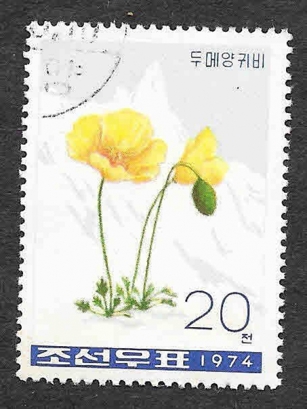 1263 - Plantas Alpinas