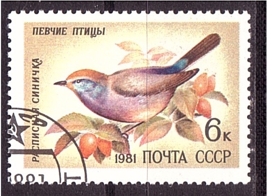 serie- Pajaros y flores