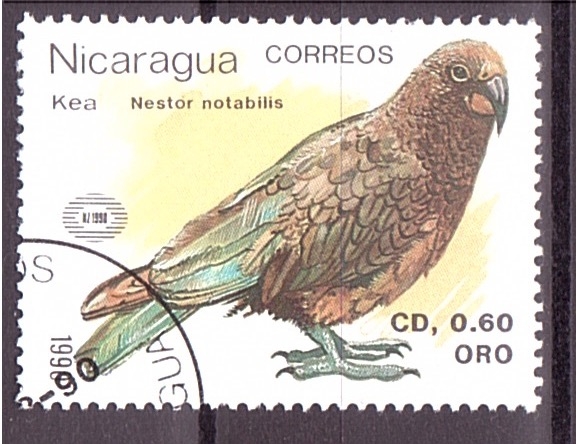 Nueva Zelanda'90