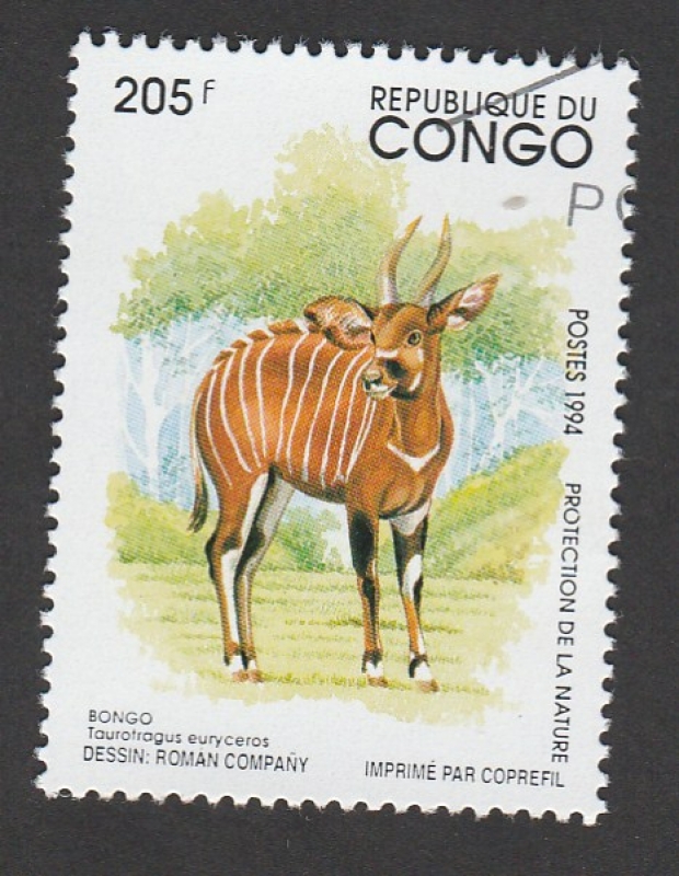 Bongo